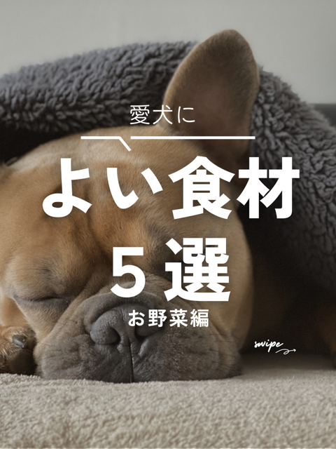 犬によい食材のまとめ・お野菜編