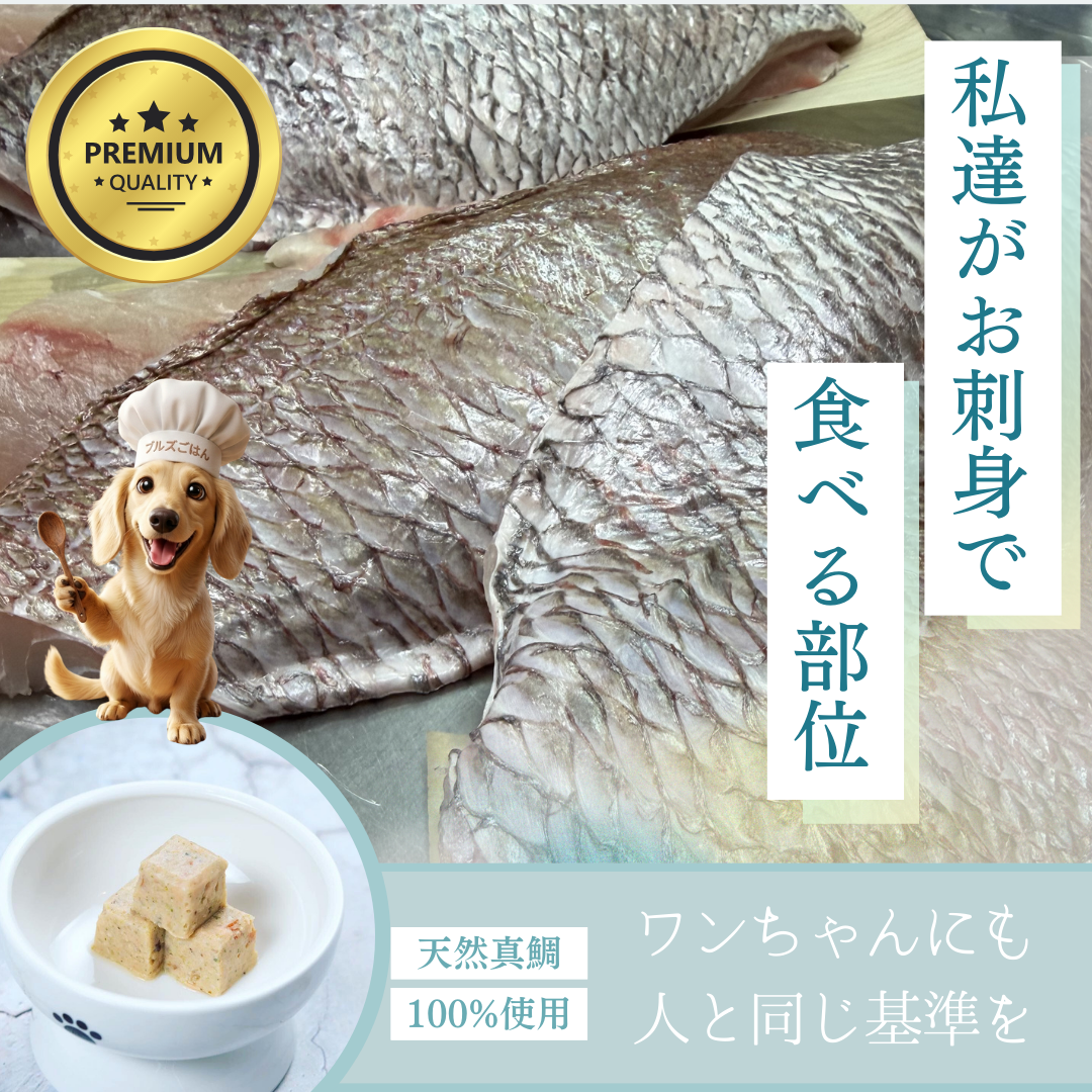 
                  
                    極み・天然真鯛とお野菜のCUBE
                  
                