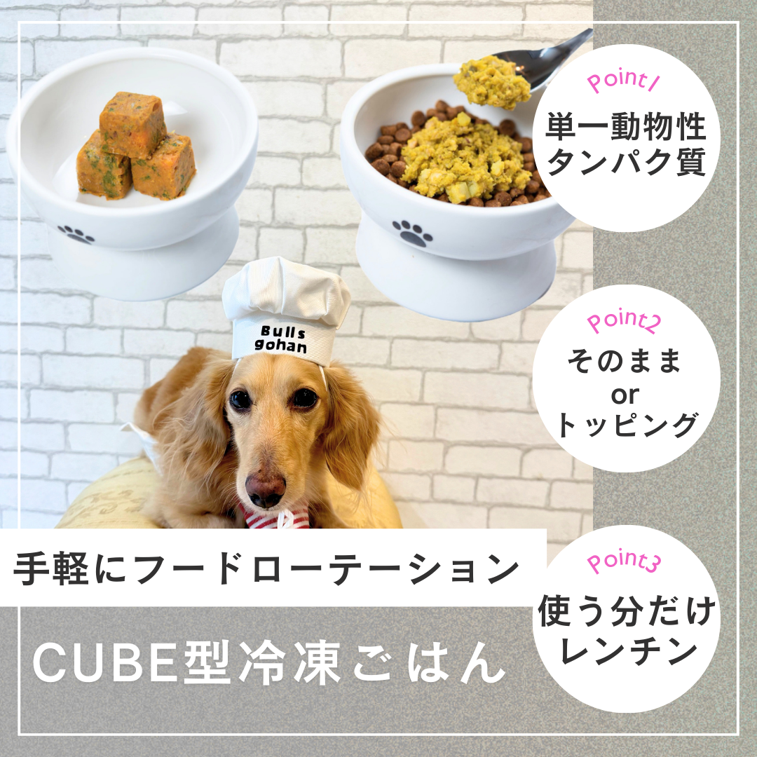 
                  
                    極み・天然真鯛とお野菜のCUBE
                  
                