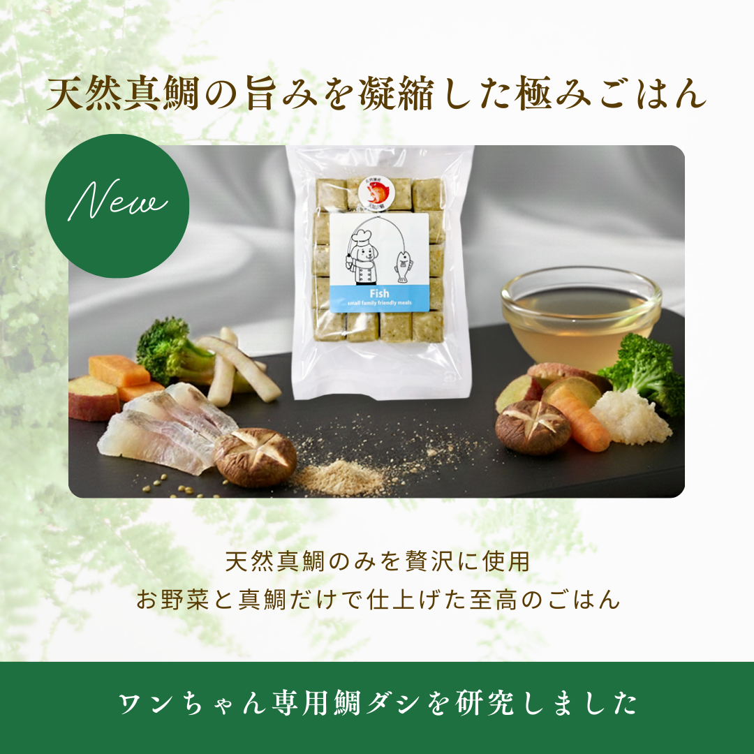 
                  
                    極み・天然真鯛とお野菜のCUBE
                  
                